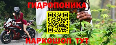 стаф Волжск