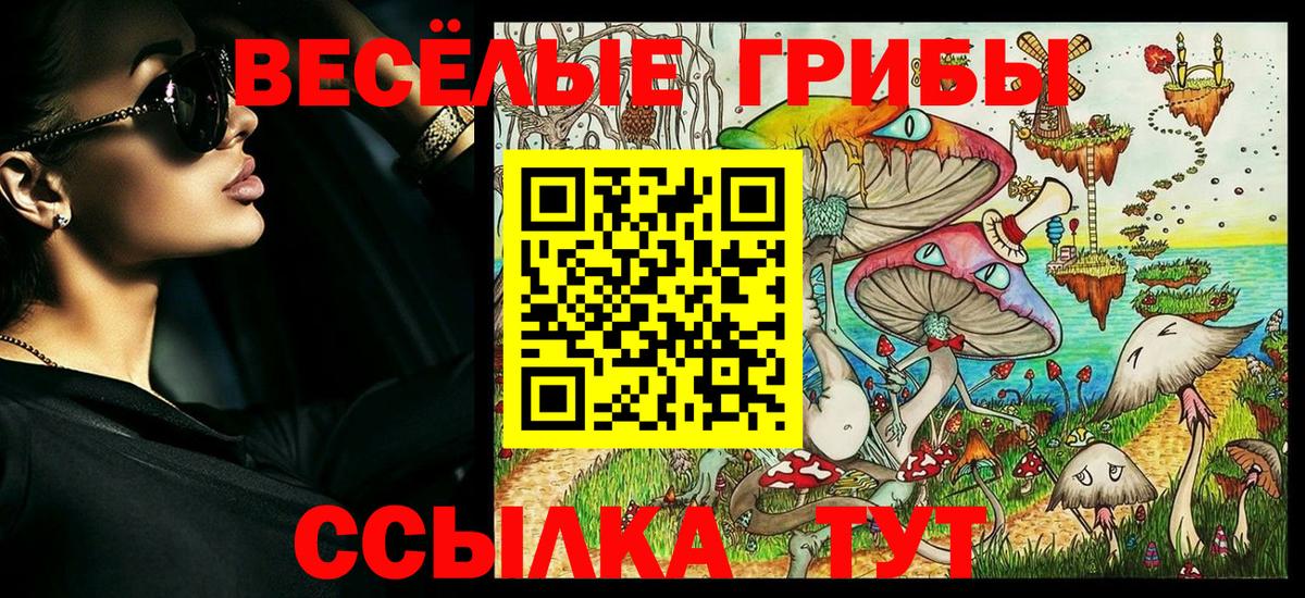 Псилоцибиновые грибы Psilocybine cubensis Кинель