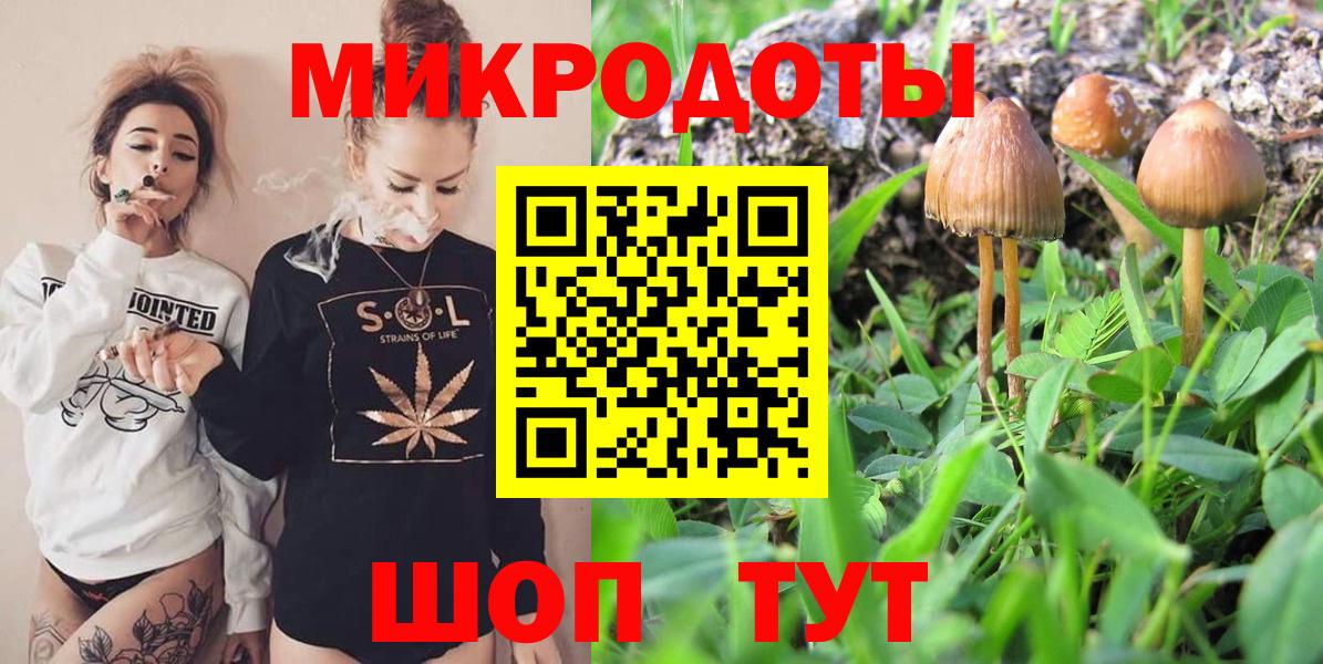 Кинель  наркошоп  Вход с VPN  Псилоцибиновые грибы Psilocybe  Псилоцибиновые грибы прущие грибы 